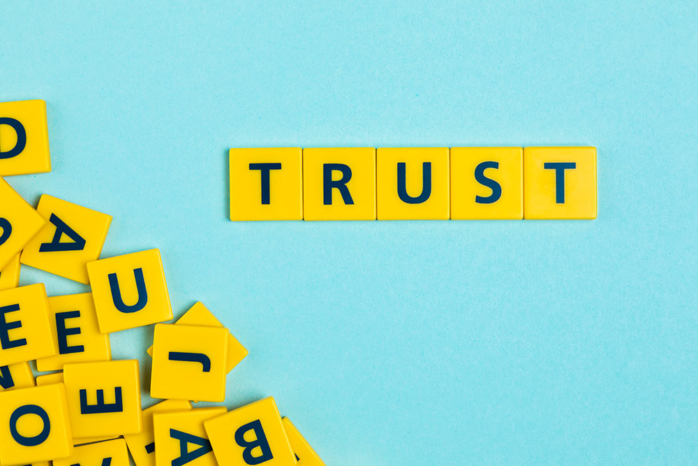 build trust and authority for seo